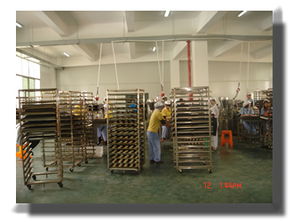 福建漳州食品厂的技术开发现状与前景探析