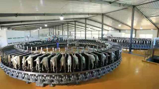 一花引来百花香 和林格尔县技术开发引领产业融合发展